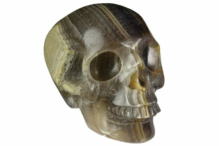 Realistic, Carved, Banded Purple Fluorite Skull #151019